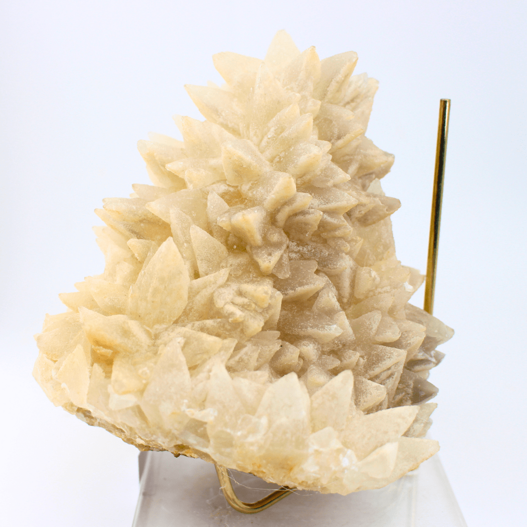 Dog Tooth Calcite Naturally Terminated Himalayas 3176g