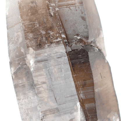 Rauchquarz erneut verheilte Fraktur Gastein Österreich 1153 Natürliches Mineralienexemplar Feines sammelwürdiges Vitrinenstück Geologisches Interesse