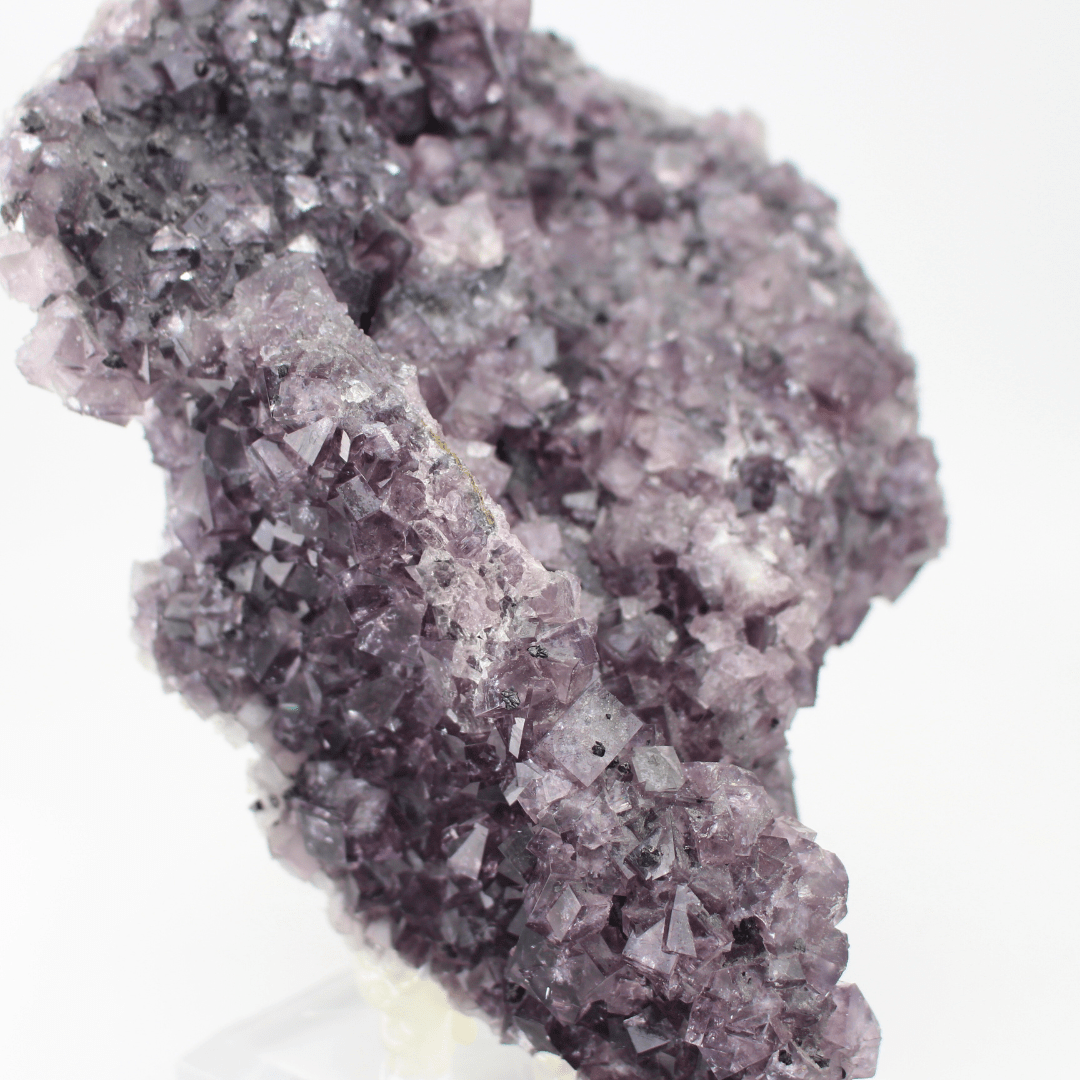Flourite Africa Shaped Nortumbria 2471g
