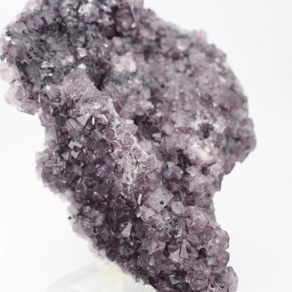 Fluorite a forma d'Africa, Nortumbria 2471, campione minerale naturale, pregiato pezzo da collezione per vetrina, interesse geologico