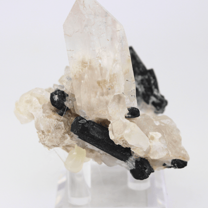 Quarz Turmalin Natürlich Terminiert Himalaya 268 Natürliches Mineralienexemplar Feines Sammlerstück Vitrinenobjekt Geologisches Interesse