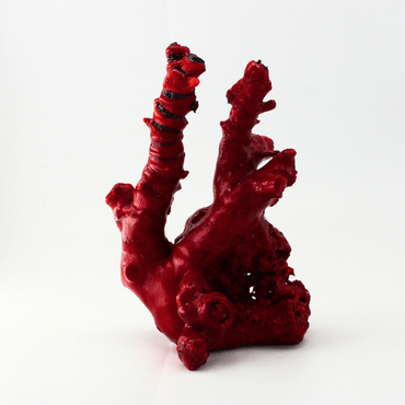 Coral Colour Changing Deepsea 388 Natural Mineral Specimen Fine Collectable Cabinet Display Piece Geological Interest