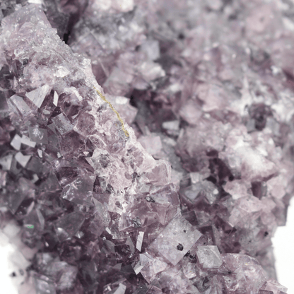 Fluorite a forma d'Africa, Nortumbria 2471, campione minerale naturale, pregiato pezzo da collezione per vetrina, interesse geologico