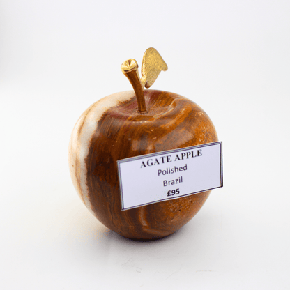 Achat Apfel poliert Brasilien 584 Natürliches Mineralienexponat Feines Sammlerstück Vitrinenstück Geologisches Interesse