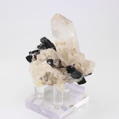 Quarz Turmalin Natürlich Terminiert Himalaya 268 Natürliches Mineralienexemplar Feines Sammlerstück Vitrinenobjekt Geologisches Interesse