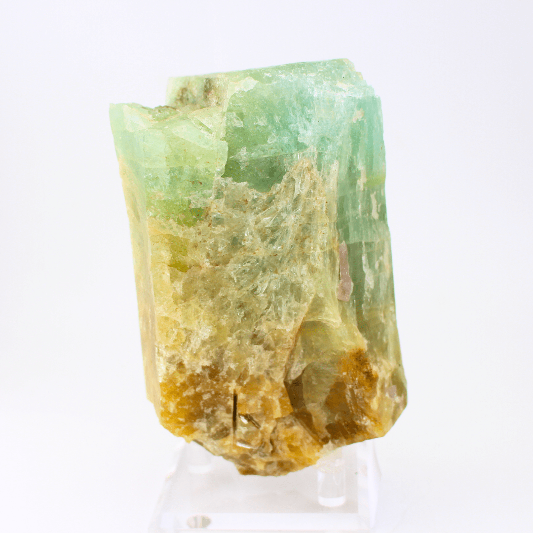 Aquamarine Naturally Terminated Himalayas 1590 Natural Mineral Specimen Fine Collectable Cabinet Display Piece Geological Interest