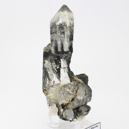 Quarz mit Chlorit, natürlich terminiert, Himalaya, 324, natürliches Mineralienmuster, feines Sammlerstück für Vitrine, geologisches Interesse