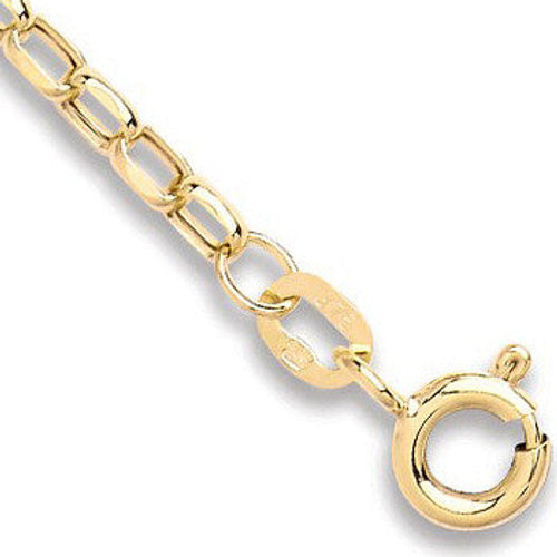 Yellow Gold Hollow Diamond Cut Belcher Anklet