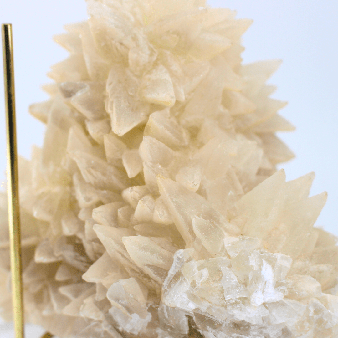 Dog Tooth Calcite Naturally Terminated Himalayas 3176g