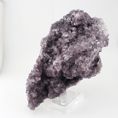 Fluorite a forma d'Africa, Nortumbria 2471, campione minerale naturale, pregiato pezzo da collezione per vetrina, interesse geologico
