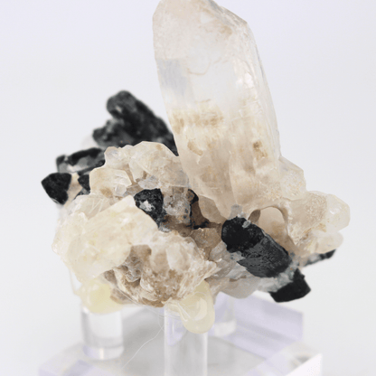 Quarz Turmalin Natürlich Terminiert Himalaya 268 Natürliches Mineralienexemplar Feines Sammlerstück Vitrinenobjekt Geologisches Interesse