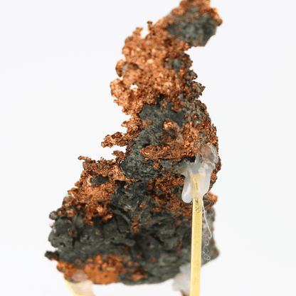 Kupfermatrix natürlich gewachsener Gastein Österreich 191 natürliches Mineralienexponat feines Sammlerstück für Vitrine geologisches Interesse