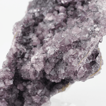 Fluorite a forma d'Africa, Nortumbria 2471, campione minerale naturale, pregiato pezzo da collezione per vetrina, interesse geologico