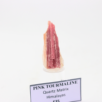 Rosa Turmalin in Quarzmatrix Himalaya 18 Natürliches Mineralienexemplar Feines Sammlerstück Vitrinenstück Geologisches Interesse