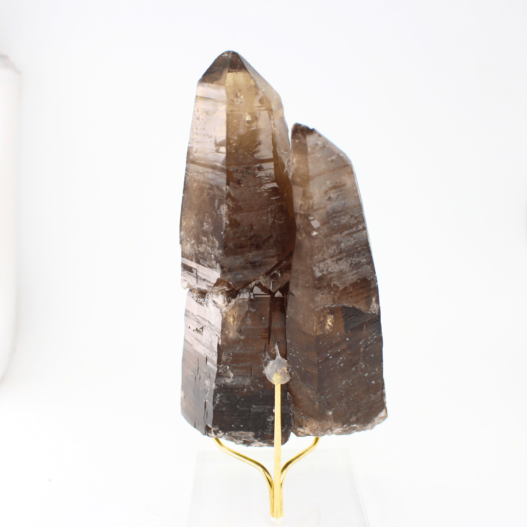 Smokey Quartz Rehealed Fracture Gastein Austria 1153 Natural Mineral Specimen Fine Collectable Cabinet Display Piece Geological Interest