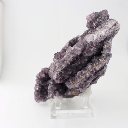 Fluorite a forma d'Africa, Nortumbria 2471, campione minerale naturale, pregiato pezzo da collezione per vetrina, interesse geologico