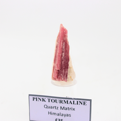 Rosa Turmalin in Quarzmatrix Himalaya 18 Natürliches Mineralienexemplar Feines Sammlerstück Vitrinenstück Geologisches Interesse