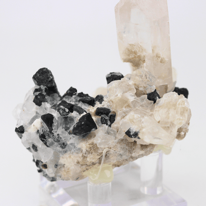 Quarz Turmalin Natürlich Terminiert Himalaya 268 Natürliches Mineralienexemplar Feines Sammlerstück Vitrinenobjekt Geologisches Interesse