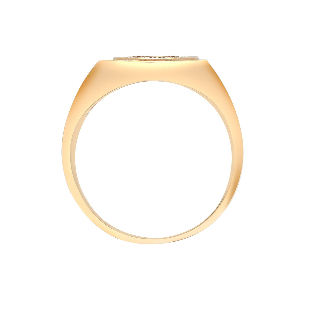 9ct Yellow Gold Natural Diamond Ring (9R378) – product view