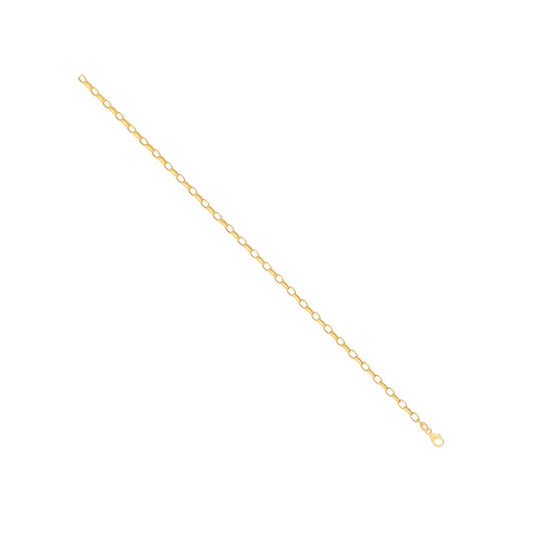 14ct Yellow Gold Hollow Oval Faceted Belcher 3.5mm Chain
