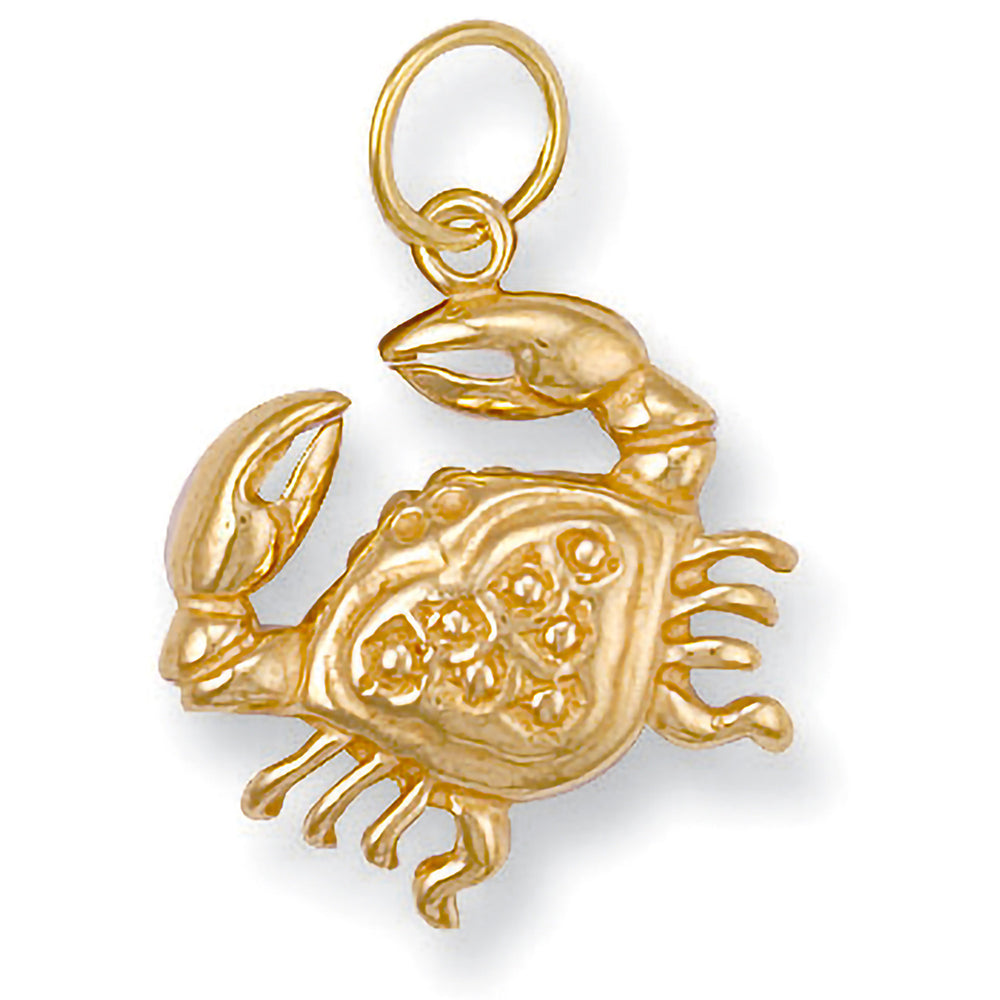 Yellow Gold Cancer Zodiac Pendant – product view