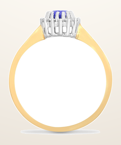 IT_ROLE:detail_crop | 9ct Yellow Gold Natural Diamond 12pts & Tanzanite 55pts Ring