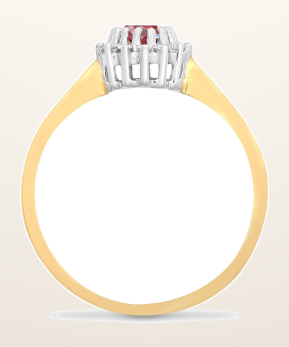 IT_ROLE:detail_crop | 9ct Yellow Gold Natural Diamond 12pts & Ruby 60pts Ring