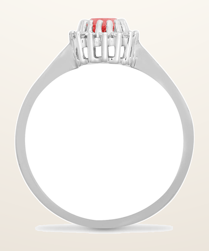 IT_ROLE:detail_crop | 9ct White Gold Natural Diamond 12pts & Ruby 60pts Ring