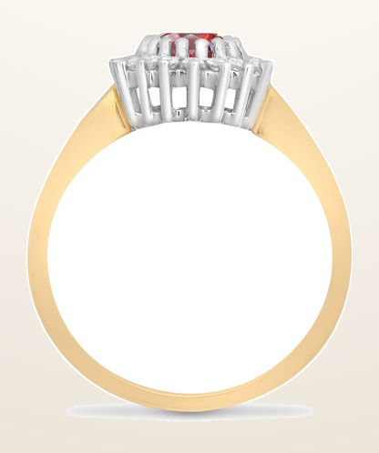 IT_ROLE:detail_crop | 9ct Yellow Gold Natural Diamond 23pts & Ruby 1.10ct Ring