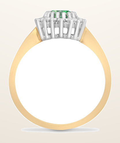 IT_ROLE:detail_crop | 9ct Yellow Gold Natural Diamond 23pts & Emerald 78pts Ring