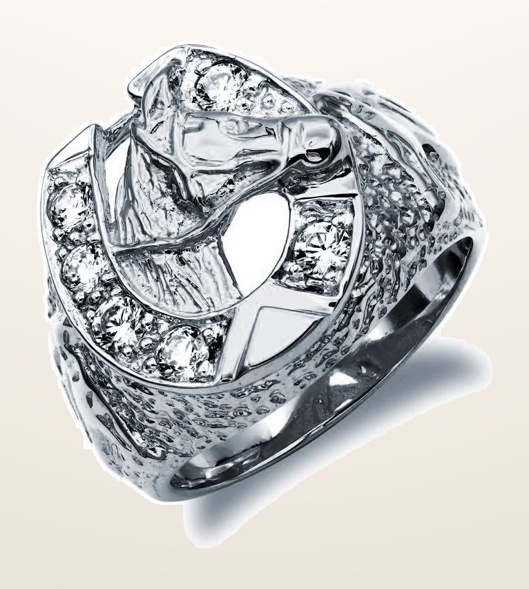 IT_ROLE:detail_crop | 925 Silver Cubic Zirconia Set Horseshoe Ring