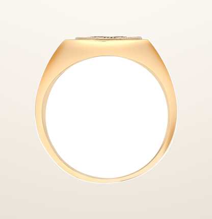 IT_ROLE:presentation_crop | 9ct Yellow Gold Natural Diamond Ring