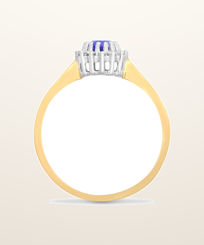 IT_ROLE:presentation_crop | 9ct Yellow Gold Natural Diamond 12pts & Tanzanite 55pts Ring