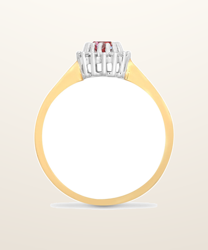 IT_ROLE:presentation_crop | 9ct Yellow Gold Natural Diamond 12pts & Ruby 60pts Ring