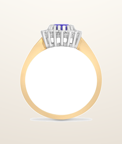 IT_ROLE:presentation_crop | 9ct Yellow Gold Natural Diamond 23pts & Tanzanite 73pts Ring
