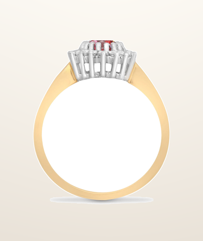 IT_ROLE:presentation_crop | 9ct Yellow Gold Natural Diamond 23pts & Ruby 1.10ct Ring