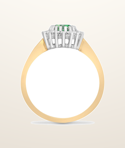 IT_ROLE:presentation_crop | 9ct Yellow Gold Natural Diamond 23pts & Emerald 78pts Ring