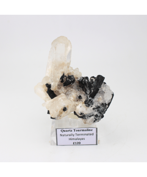 Quartz Tourmaline Naturally Terminated Himalayas 268g