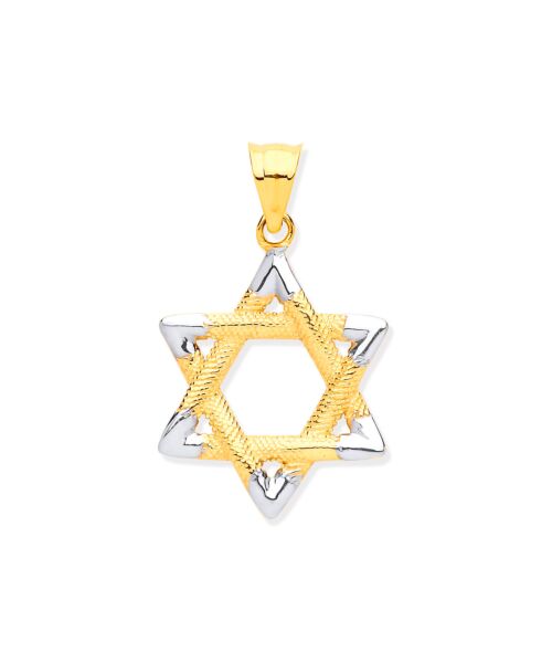 W & Yellow Gold Star of David Pendant PD0666