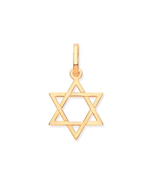 Yellow Gold Star of David Pendant PD0668